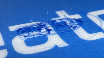 IMG_0317.jpeg