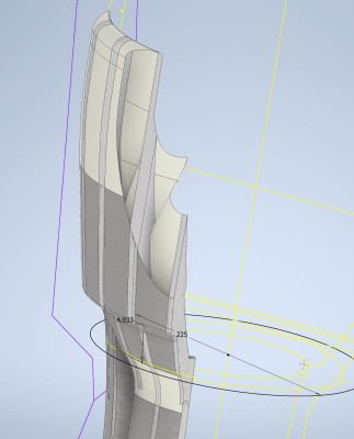 Shell+rib_01.JPG