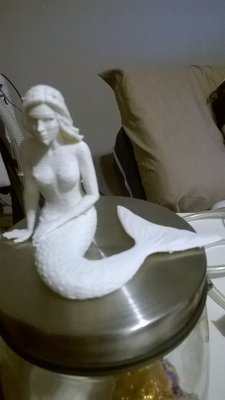 WP_20160227_011.jpg