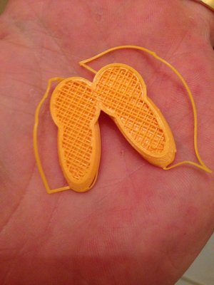 photo.JPG