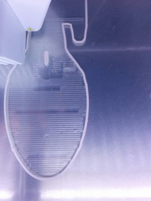 First layer PVA.jpg
