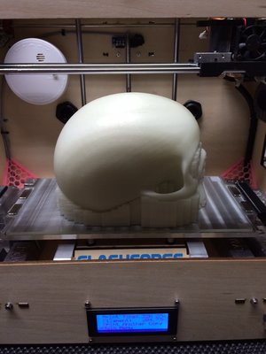 image6.jpeg (328.23 KiB) Viewed 5346 times Skull 1