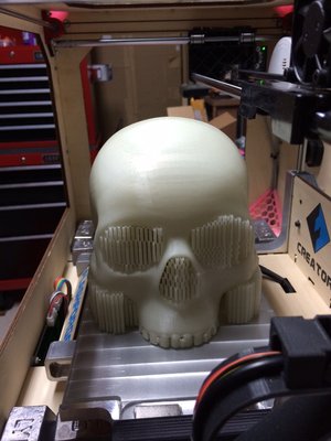 image4.jpeg (339.07 KiB) Viewed 5344 times Skull 2