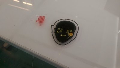 IMAG0494.jpg