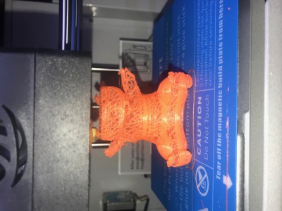 image1.jpeg